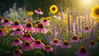Pollinator Gardens Add Colour And Life