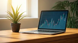 Related Stories banner