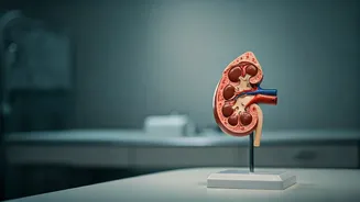 Urological Woes: Why Patients Delay Seeking Crucial Medical Help