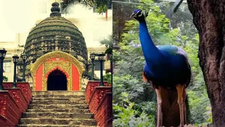 IPL Match Today in Guwahati, Don't Miss These Famous Tourist Places Near ACA Stadium Guwahati