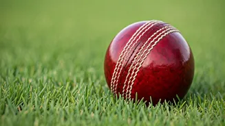 Leo Weekly Horoscope: Finances, Career, Love & More!