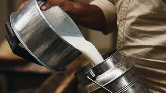 Maharashtra to see ₹2 per liter milk hike Tuesday