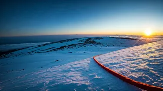Conquer the Skies: Your Ultimate Guide to Bungee Jumping Off Mount Kilimanjaro