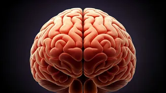 10 Early Dementia Signs: Spotting the Clues