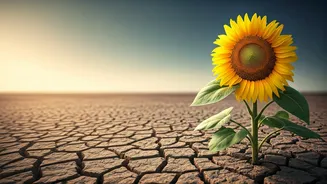 5 Steps to Bounce Back: Your Guide to Faster Healing After a Breakup