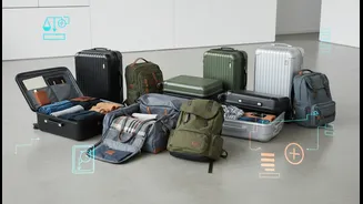 Check Luggage Rules Before Accepting A Multi-Carrier Flight Suggestion