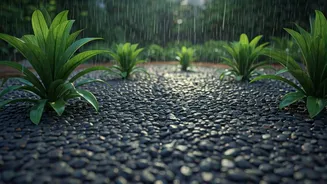 Monsoon Gardens Need Gravel, Holes And Common Sense