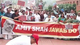 'Amit Shah Jawab Do': Opposition MPs Take Out Protest March in Parliament Complex | WATCH