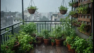 Urban Renters and Home Gardeners Should Compare Benefits, Costs and Limits around Monsoon Balcony Micro-Gardens