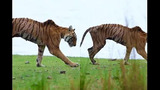 Escape The City Smog With These Luxury Hillside Getaways