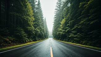 Flexible Routes Keep Rainy Road Trips Alive