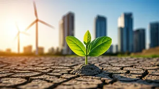 India: Economy to Stay Sustainable in 2025