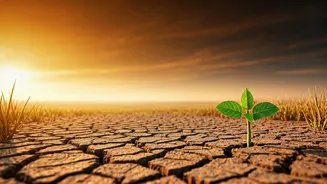 Understanding Climate Is No Longer Optional