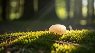 Sahaja Yoga: The Path to Inner Harmony for Everyone