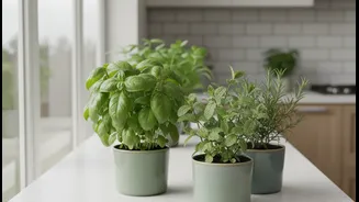 Urban Gardening Starts Inside Your Home