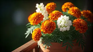 Nostalgic Blooms Bring Personality To Small Gardens