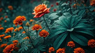 Flowering Plants Need A Practical Monsoon Prep