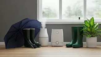 10 Everyday Monsoon Tips Worth Following This Year