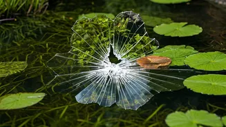 Teens & Failure: How They Handle Setbacks