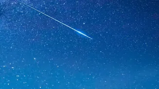 Moon-Free Skies Improve the Odds for Fainter Perseid Meteors