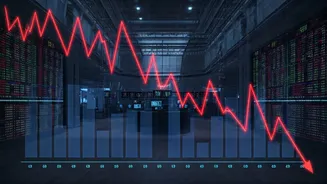 Market Meltdown: Sensex and Nifty Plunge Analyzed