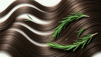 Unlock Thicker Locks: Top 5 Rosemary Hair Serums in India for Denser Growth