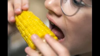 Comer milho pode ajudar a emagrecer?
