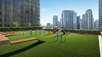 Terraces Transformed Into Dog Friendly Parks High Above Busy City