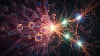 How understanding creatine monohydrate science clarifies its proven benefits for muscle strength and cognitive focus
