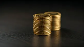 Decoding the Best Large Cap Funds: A Guide for Investors