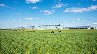 India's Agri Revolution: Tech & Infrastructure Boost