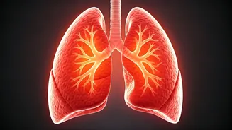 Improve Lung Health With Breathing Techniques