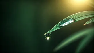 Discover Inner Peace: Mata Amritanandamayi's Wisdom on True Happiness