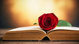 Related Stories banner