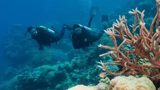Sustainable Island Travel Protocols Keep Lakshadweep Coral Reefs Intact Amid Growing Tourist Numbers
