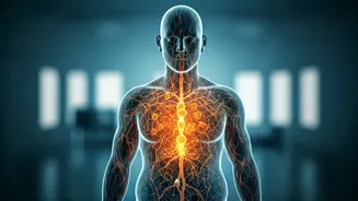 Beyond the Scale: Why Your Body Remembers Obesity Years After Weight Loss