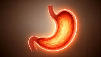 Soothe Your Stomach: 3 Gentle Indian Recipes for Acidity Relief