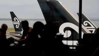 Air New Zealand Introduces Bunk Beds for Economy Passengers, Enforces New Etiquette Rules