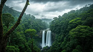 Earth's Drenched Wonders: Exploring the 5 Wettest Places on the Planet
