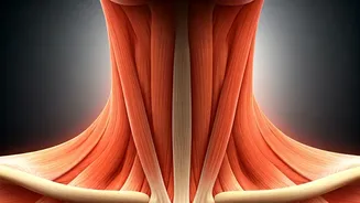 Neck Spasms: Causes, Symptoms, & When to Seek Help