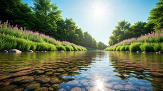 Related Stories banner