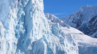 IIT Bhubaneswar And IISc Researchers Study The Growing Risk From Himalayan Hanging Glaciers