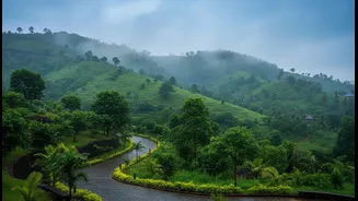 How heavy rains create perfect luxury slow-travel escapes in Wayanad and Coorg