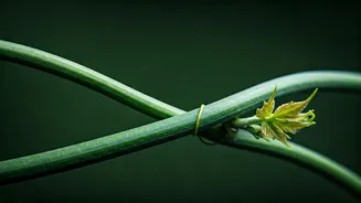 Beyond the Spark: How Real Relationships Blossom from Friendship, Not Magic