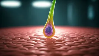 Related Stories banner