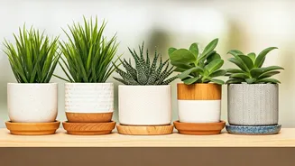 DIY Planters Make Small Spaces Look Thoughtful