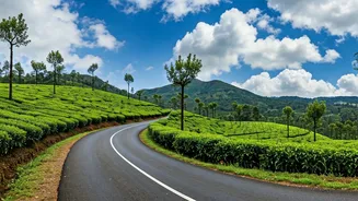 Explore Munnar and Thekkady in 4 Days!