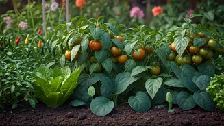 Monsoon Gardens Make Beginners Feel More Confident