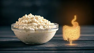 Nighttime Curd Consumption: Digestive Woes or a Myth? Expert Insights Revealed