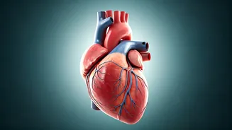Heart Failure: Know Symptoms & How To Prevent